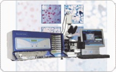 Počet somatických buněk (SCC) - akreditovaná stanice